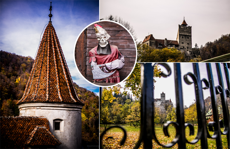 Фото замку дракули у трансільванії