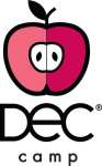 Детский лагерь Dec Camp Дневной (Оболонь) Весна 2020 Киевская область/Киев