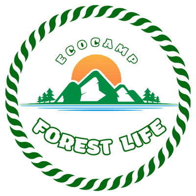 Детский лагерь Forest Life Карпаты/Славское (Львовская область)
