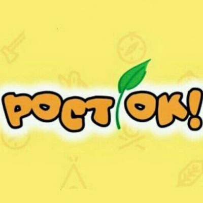 Дитячий табір РостОК Київська область/Київ