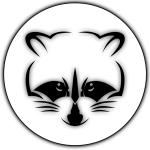 Дитячий табір Строкаті Єноти Зима 2020 Карпати/Хмелева