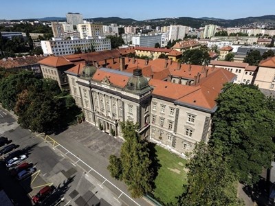 Детский лагерь Языковой лагерь в Словакии. Весна 2024 Словакия/Кошице