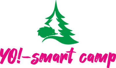 Детский лагерь YO!-Smart Camp Карпаты/Вижница
